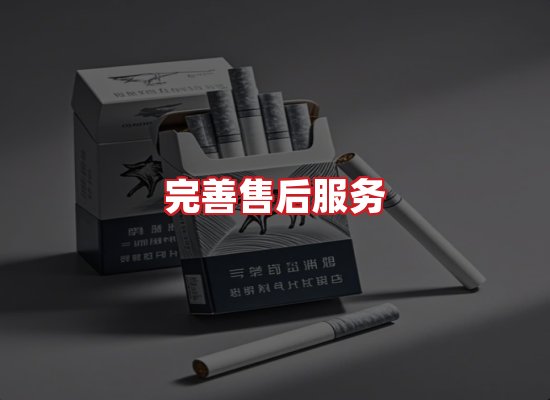 专业团队